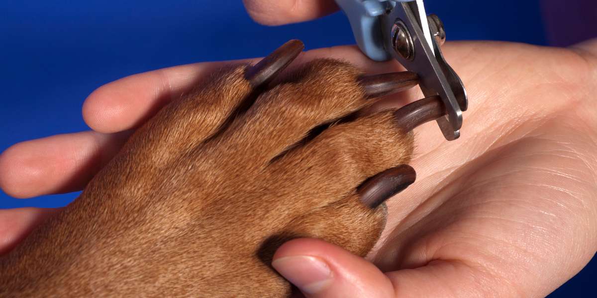cutting dogs nails